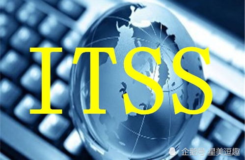 关于ITSS,你可能不知道的那些事儿